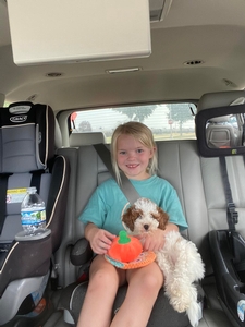 Taking Cooper Home